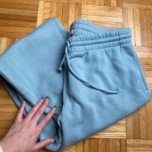 TNA - Aritzia sweatpants